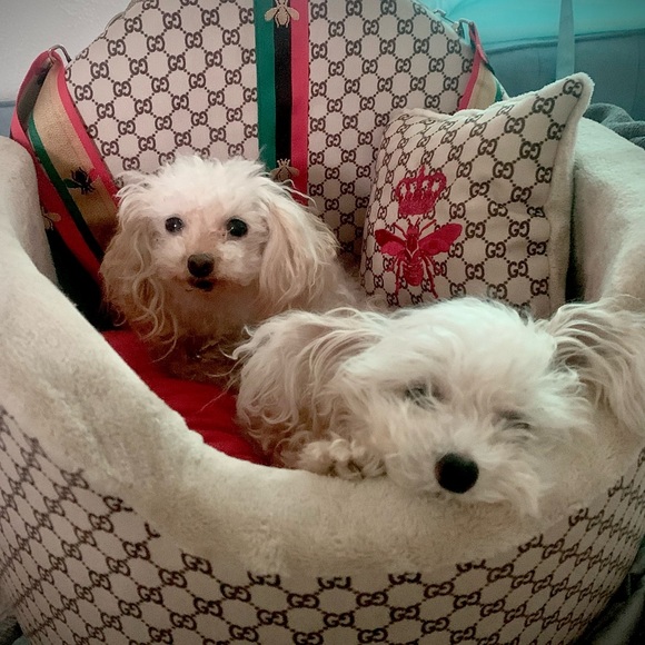 Meet your Posher, Rehnee - Picture 4 of 8